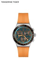 Orologio Swatch Uomo in Acciaio YVS529 - YVS529